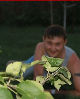 Малик — фото 3